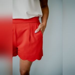 the scallop short